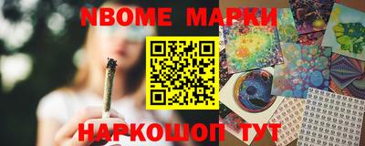 шишки Новодвинск