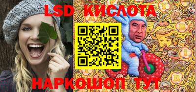 шишки Новодвинск