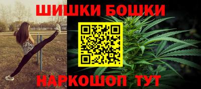шишки Новодвинск