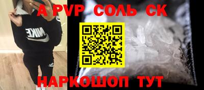 шишки Новодвинск