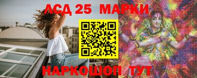 шишки Новодвинск