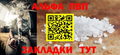 шишки Новодвинск