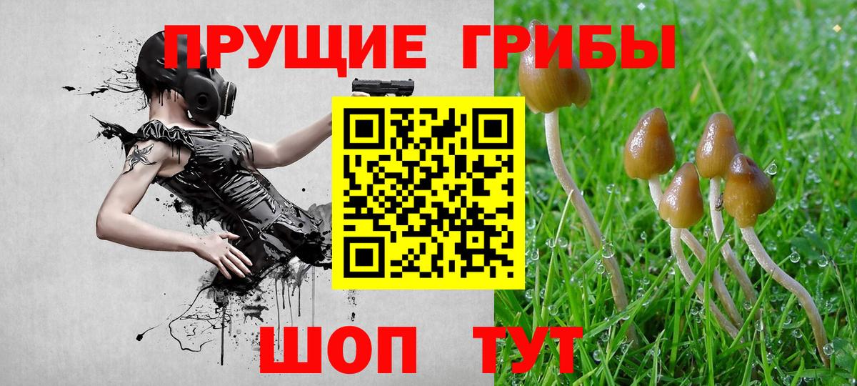 Галлюциногенные грибы MAGIC MUSHROOMS Малоярославец