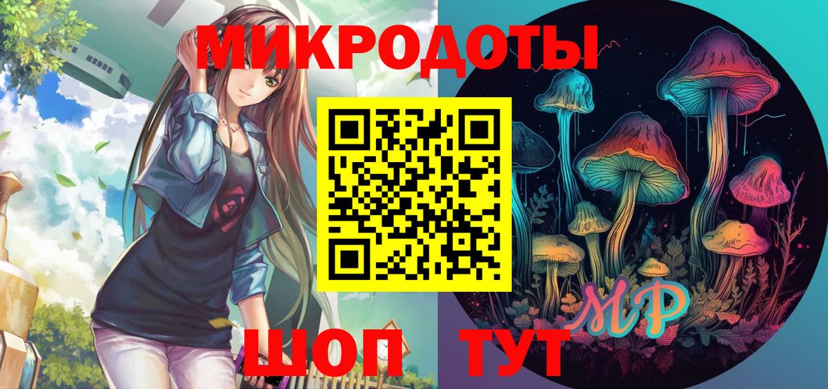 Псилоцибиновые грибы Psilocybe  Вход с VPN  как найти   Малоярославец 